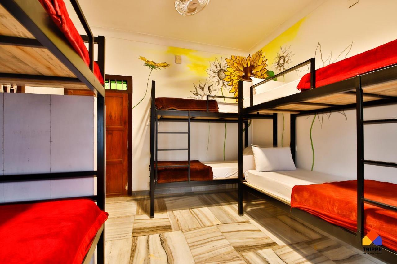 Trippr Alleppey - Backpacker Hostel Alappuzha 外观 照片